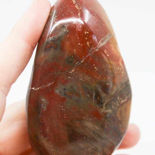 Petrified Wood Gallet - the little magic herbal shop