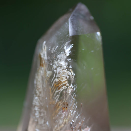 the little magic herbal shop - the little magic herbal shop