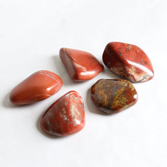 the little magic herbal shop - the little magic herbal shop