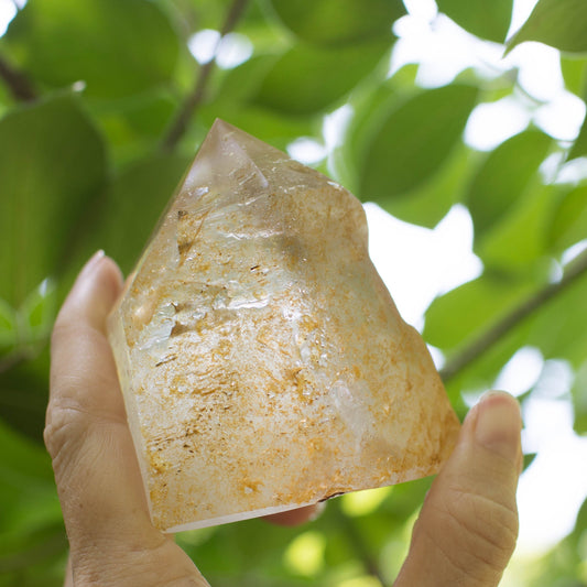 the little magic herbal shop - the little magic herbal shop