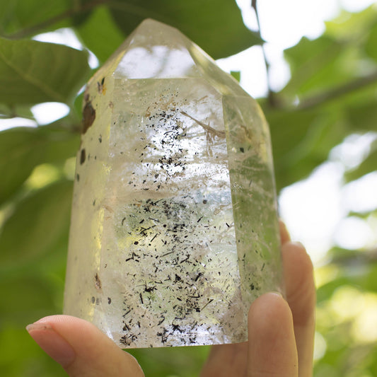 the little magic herbal shop - the little magic herbal shop