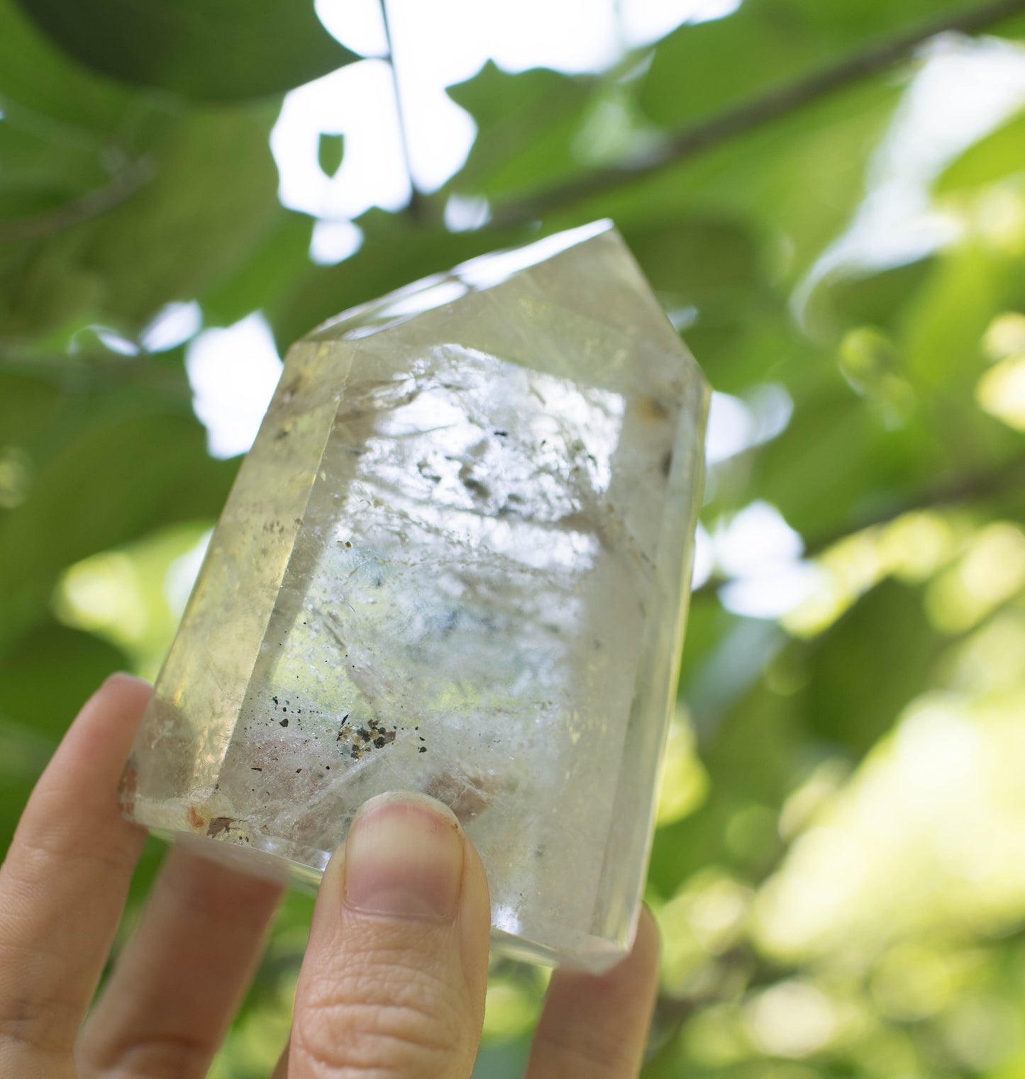 the little magic herbal shop - the little magic herbal shop