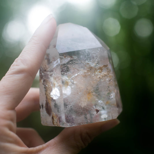 the little magic herbal shop - the little magic herbal shop