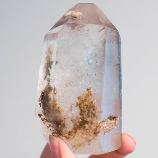 the little magic herbal shop - the little magic herbal shop