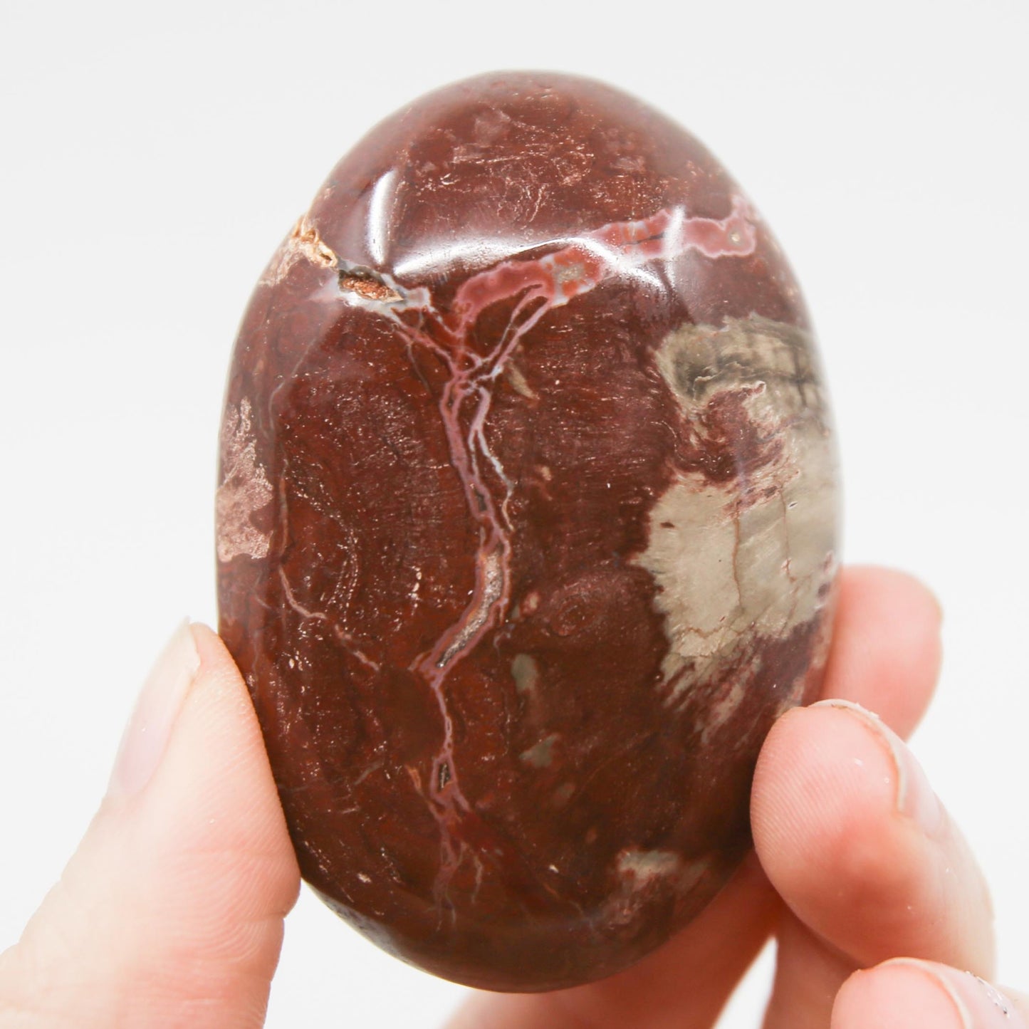 Petrified Wood Stone