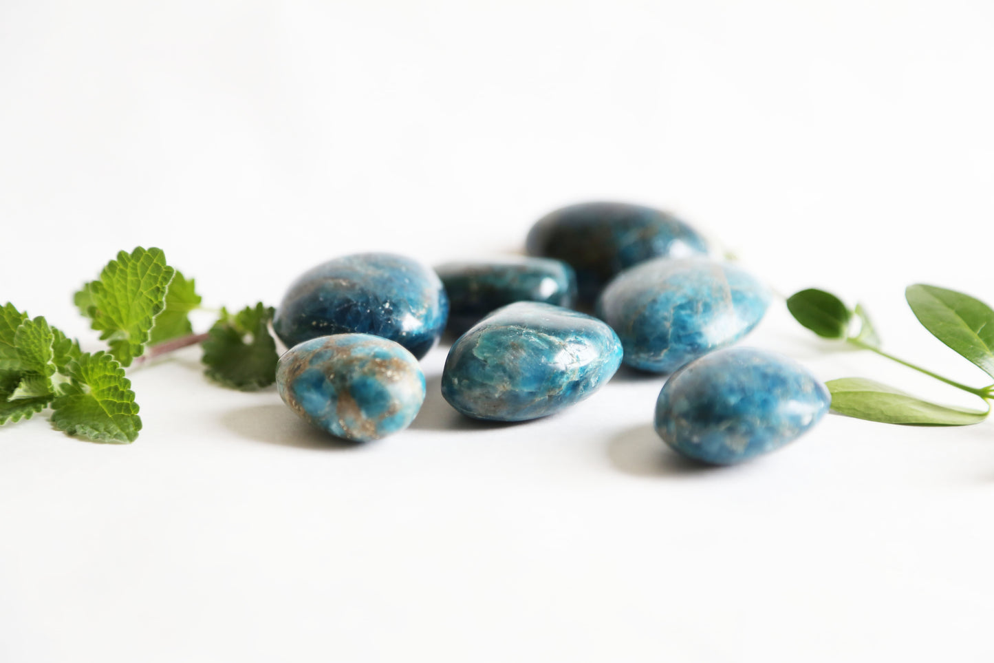 the little magic herbal shop - the little magic herbal shop
