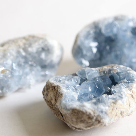 the little magic herbal shop - the little magic herbal shop