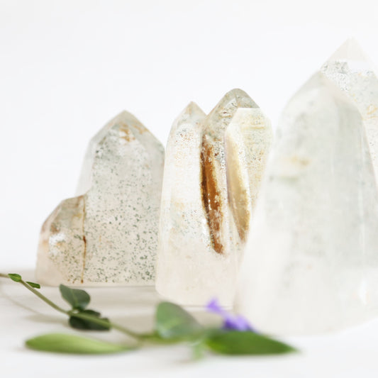 the little magic herbal shop - the little magic herbal shop