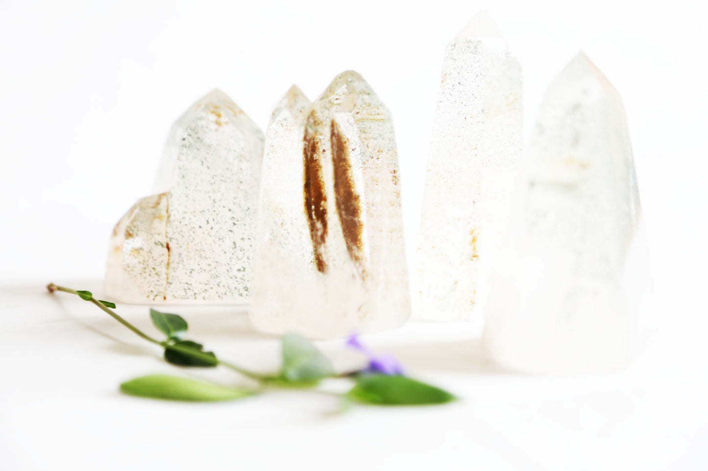 the little magic herbal shop - the little magic herbal shop