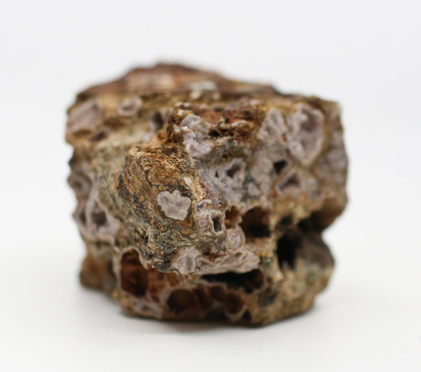 Druzy Mineral Geode Specimen From Lemur Island