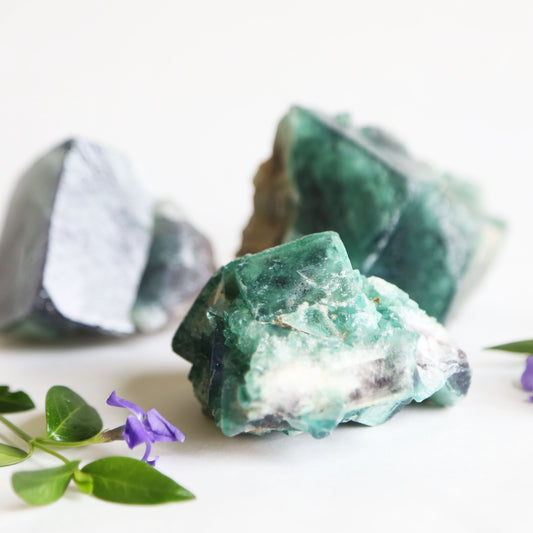 the little magic herbal shop - the little magic herbal shop