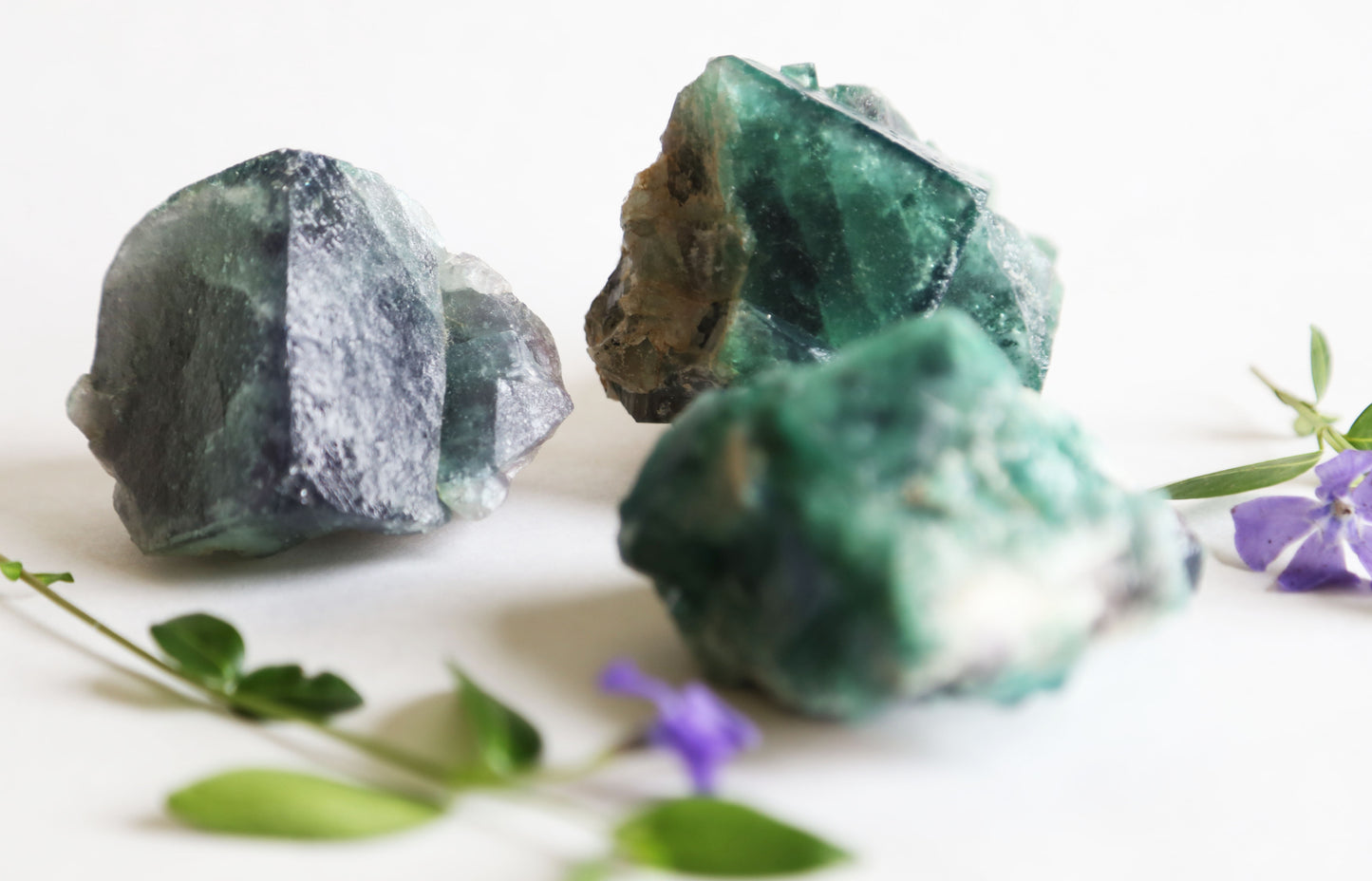 the little magic herbal shop - the little magic herbal shop