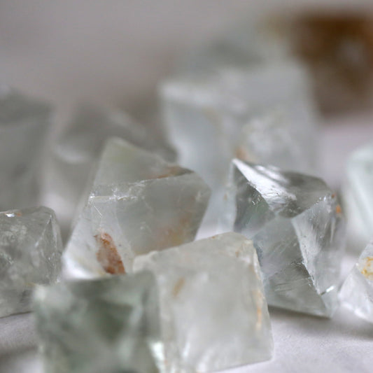 the little magic herbal shop - the little magic herbal shop