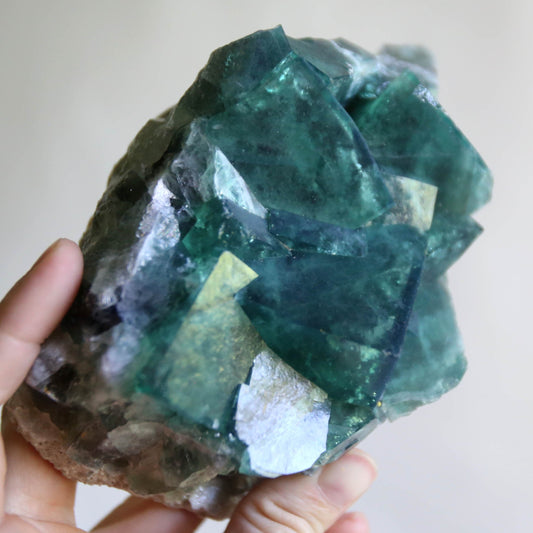 the little magic herbal shop - the little magic herbal shop