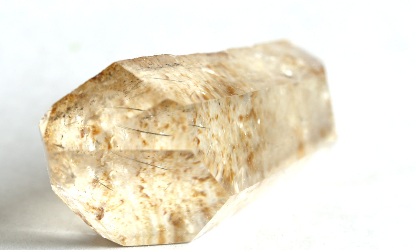 the little magic herbal shop - the little magic herbal shop