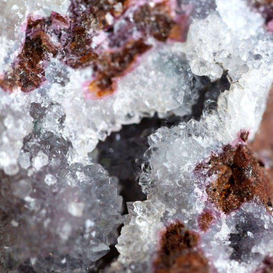 the little magic herbal shop - the little magic herbal shop