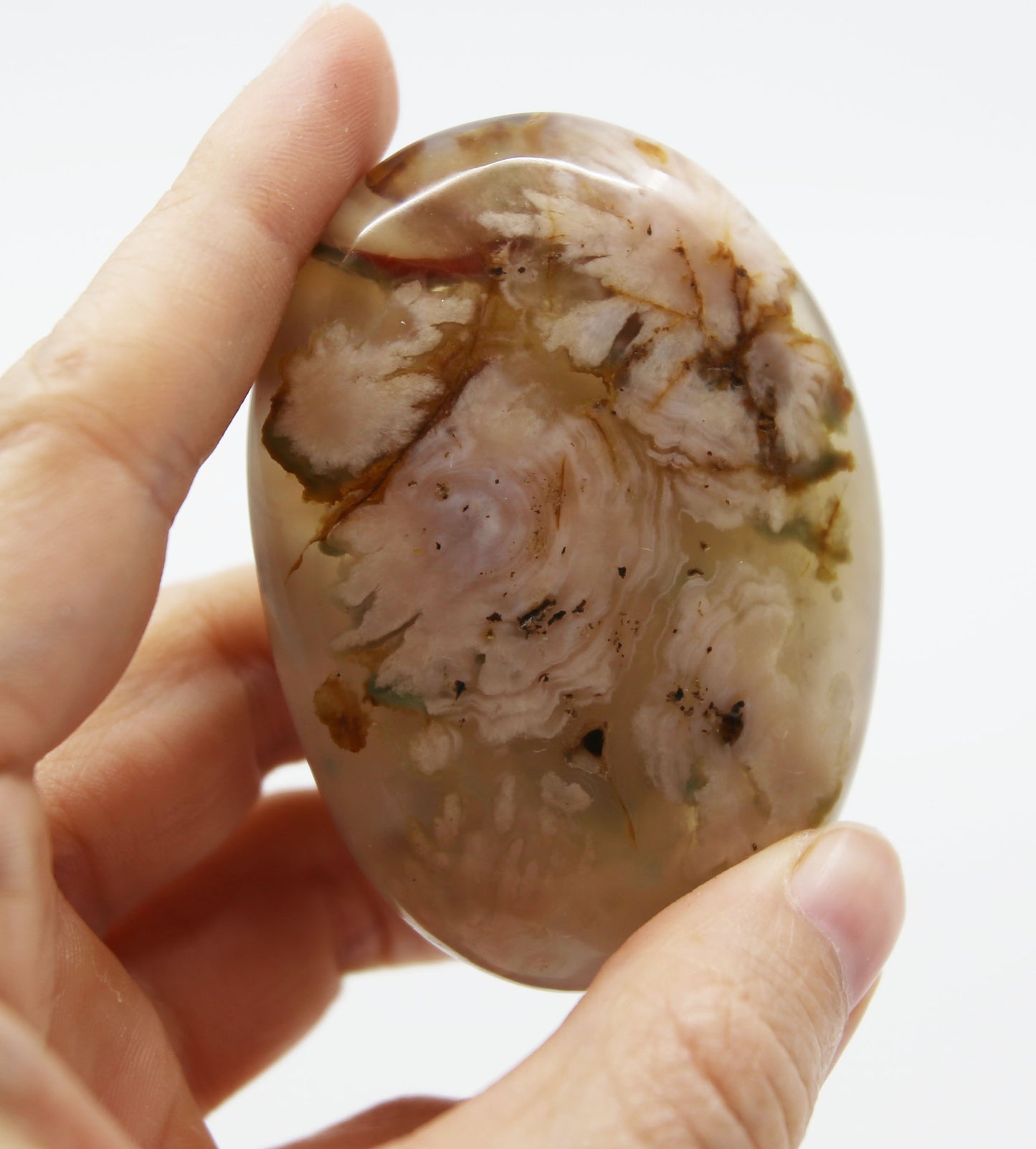 Flower Coral Agate Palm Stone
