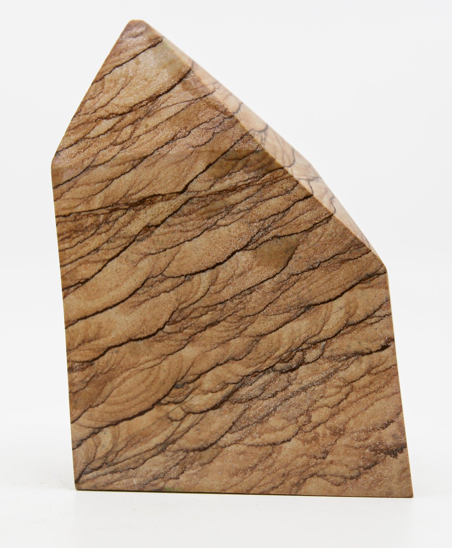 Picture Jasper Free Form