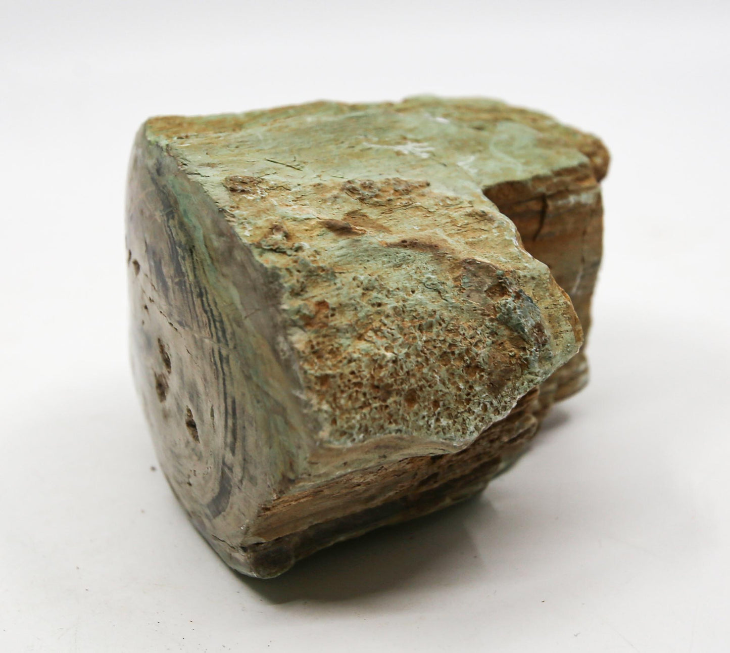 Petrified Wood Free Form