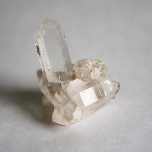 the little magic herbal shop - the little magic herbal shop