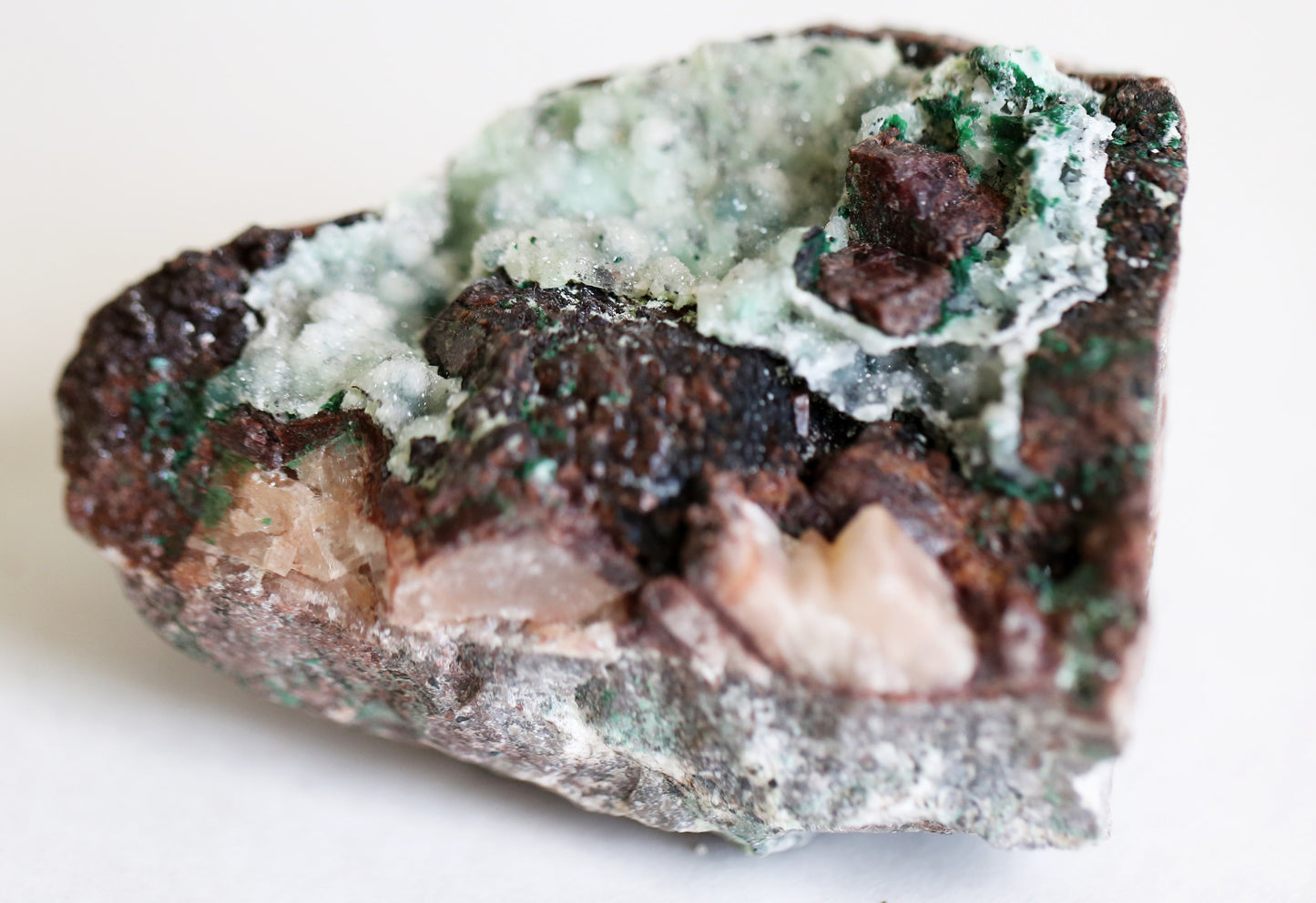 the little magic herbal shop - the little magic herbal shop