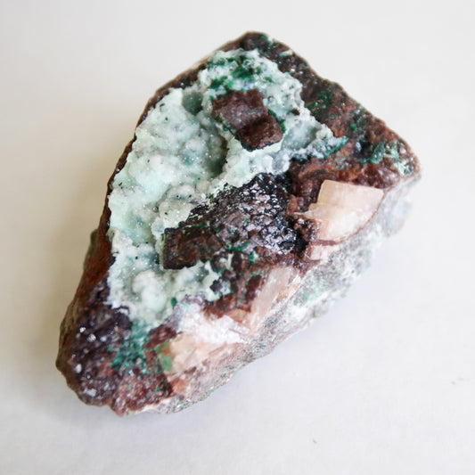 the little magic herbal shop - the little magic herbal shop