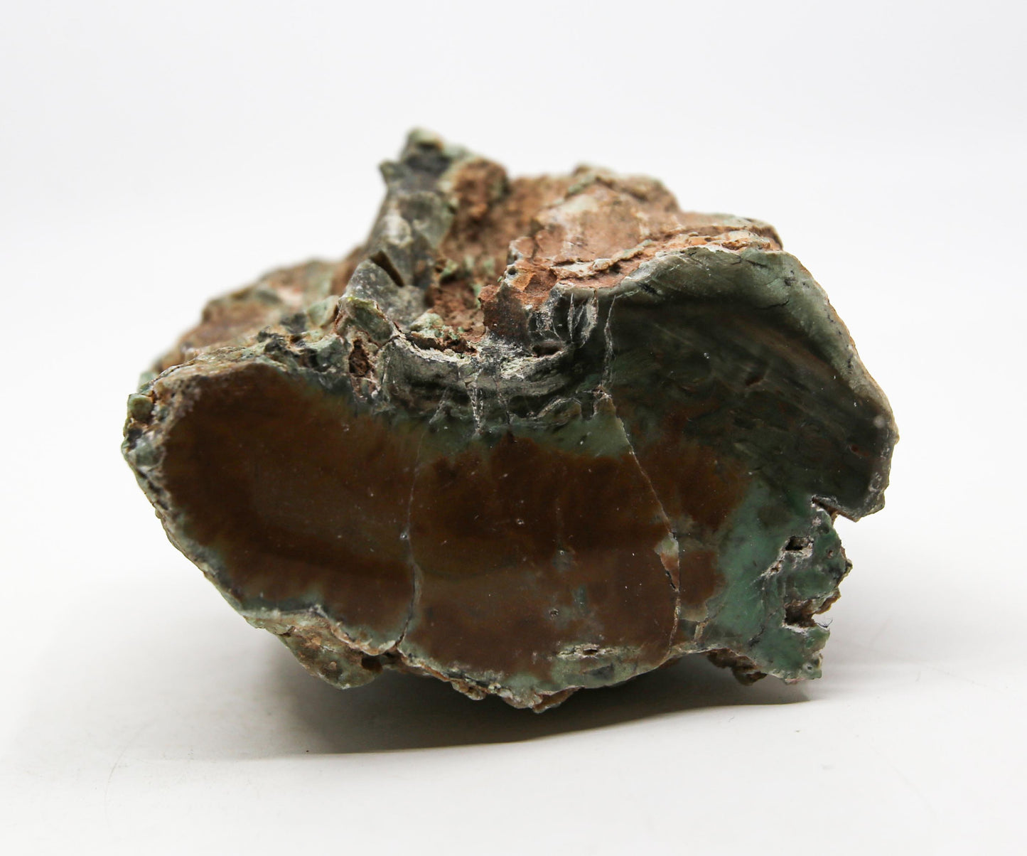 Petrified Wood Free Form