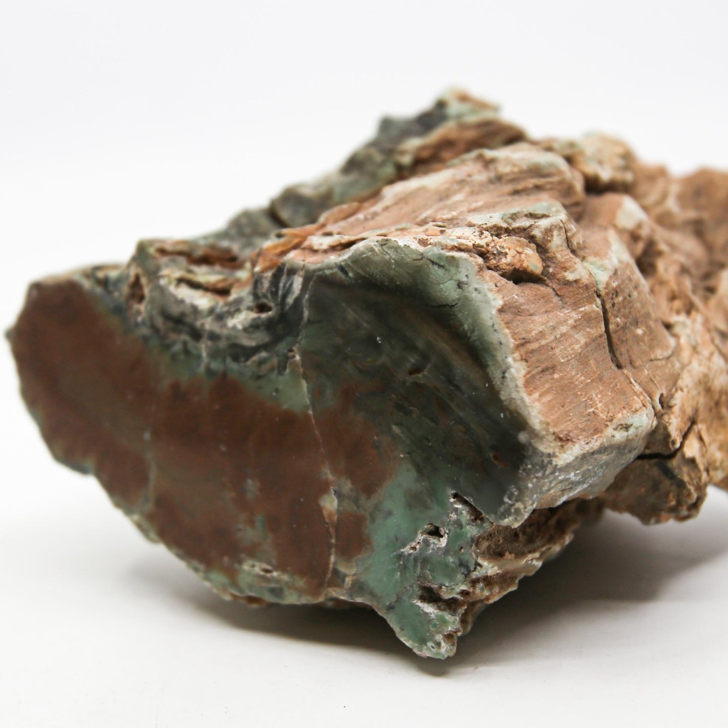 Petrified Wood Free Form