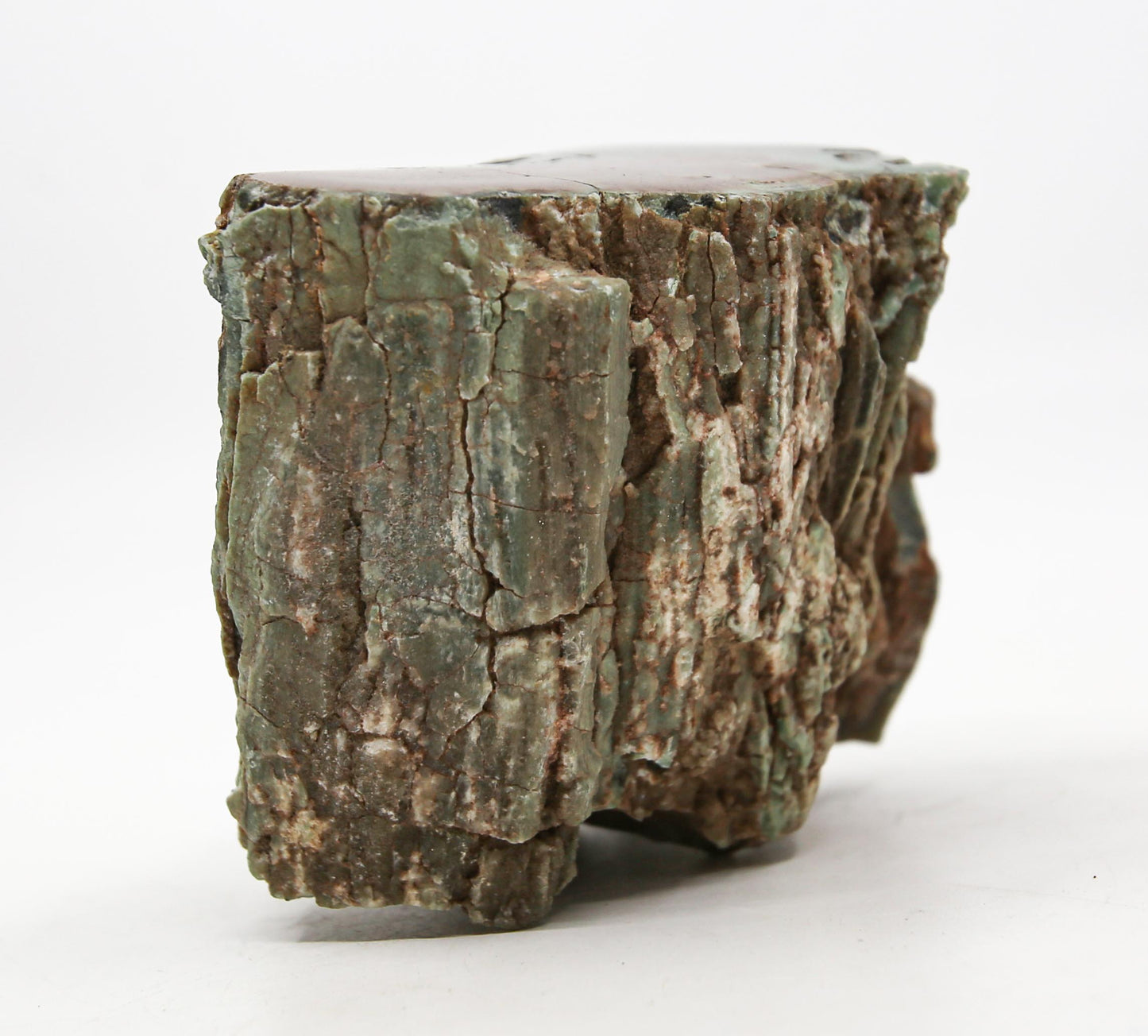Petrified Wood Free Form