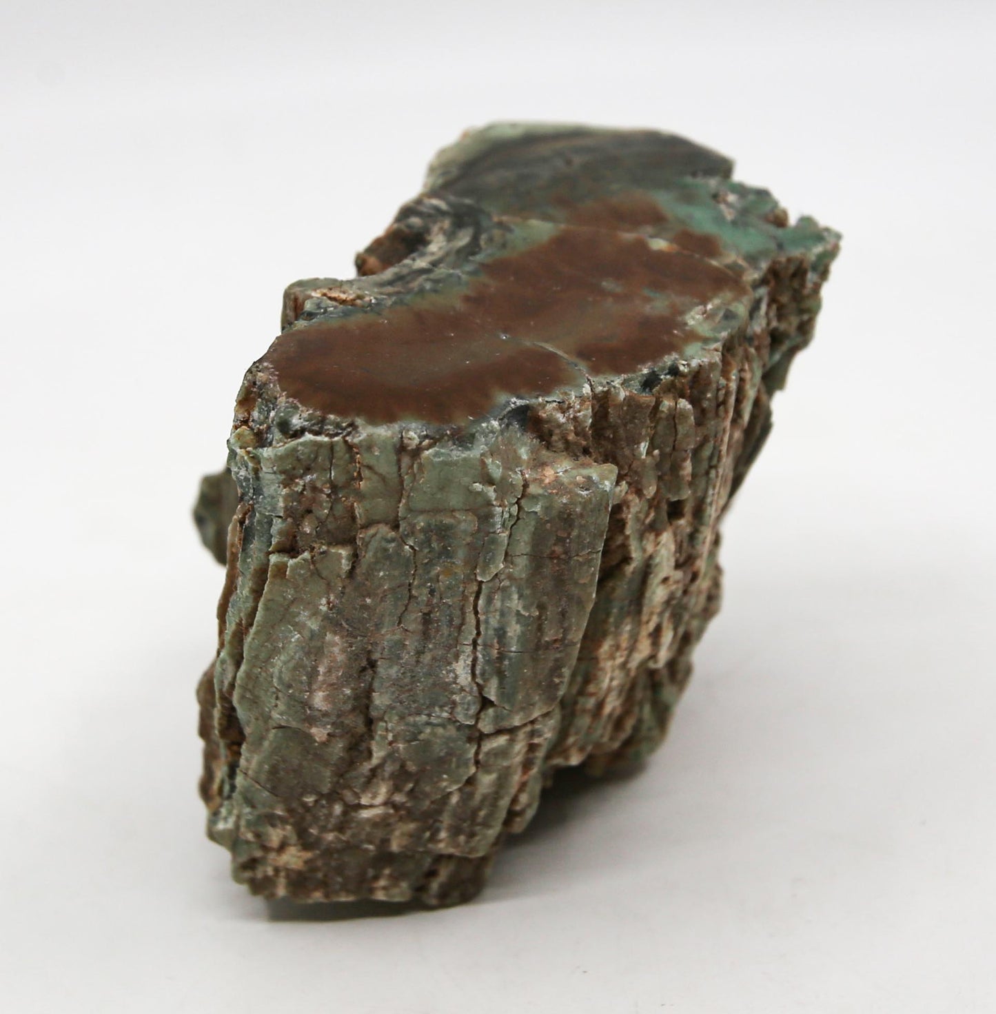 Petrified Wood Free Form