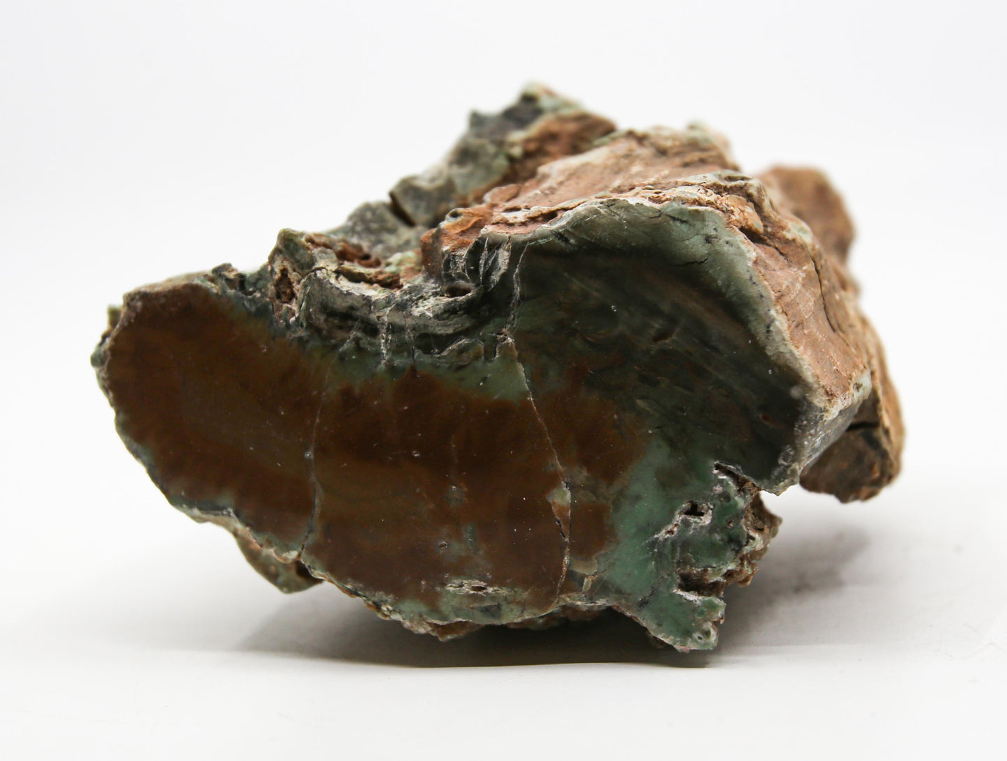 Petrified Wood Free Form