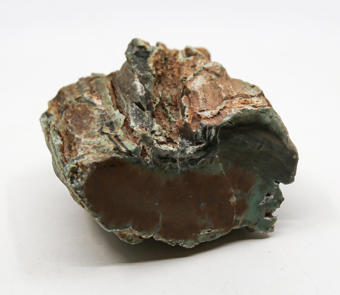 Petrified Wood Free Form