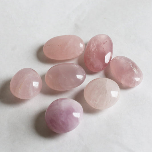 the little magic herbal shop - the little magic herbal shop