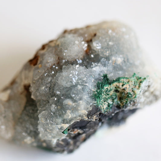 the little magic herbal shop - the little magic herbal shop