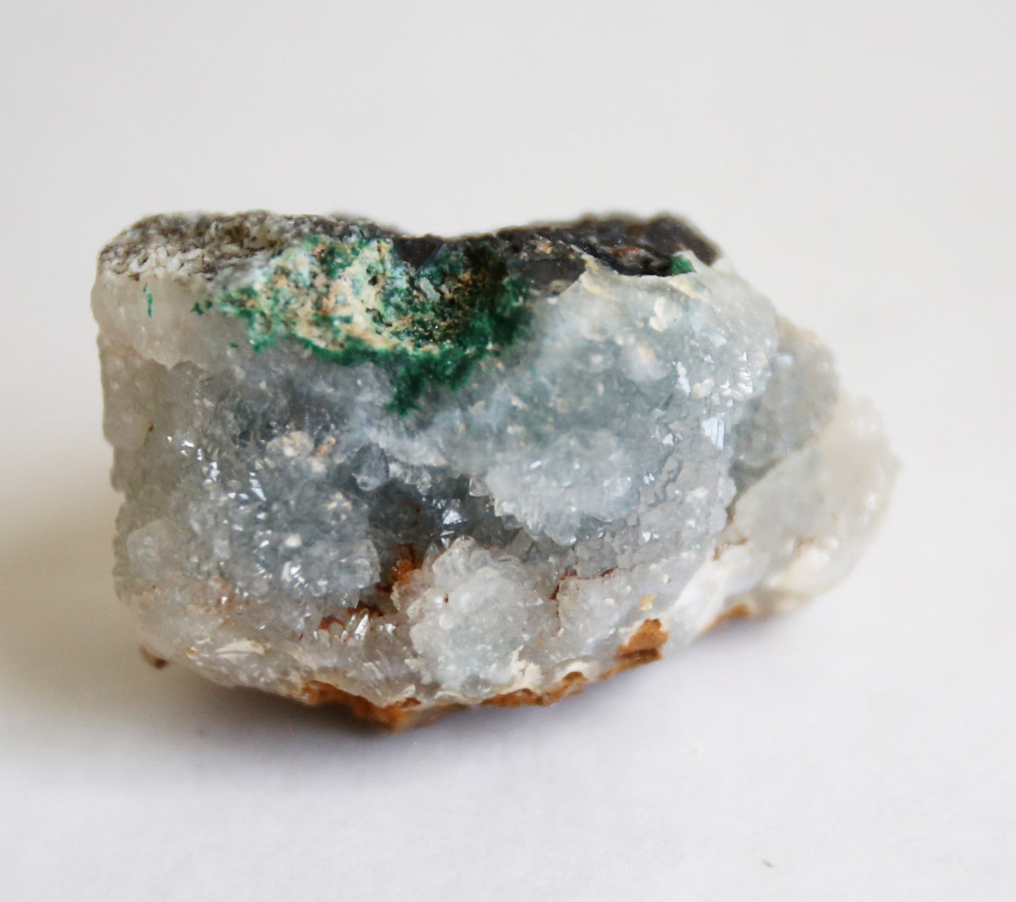 the little magic herbal shop - the little magic herbal shop