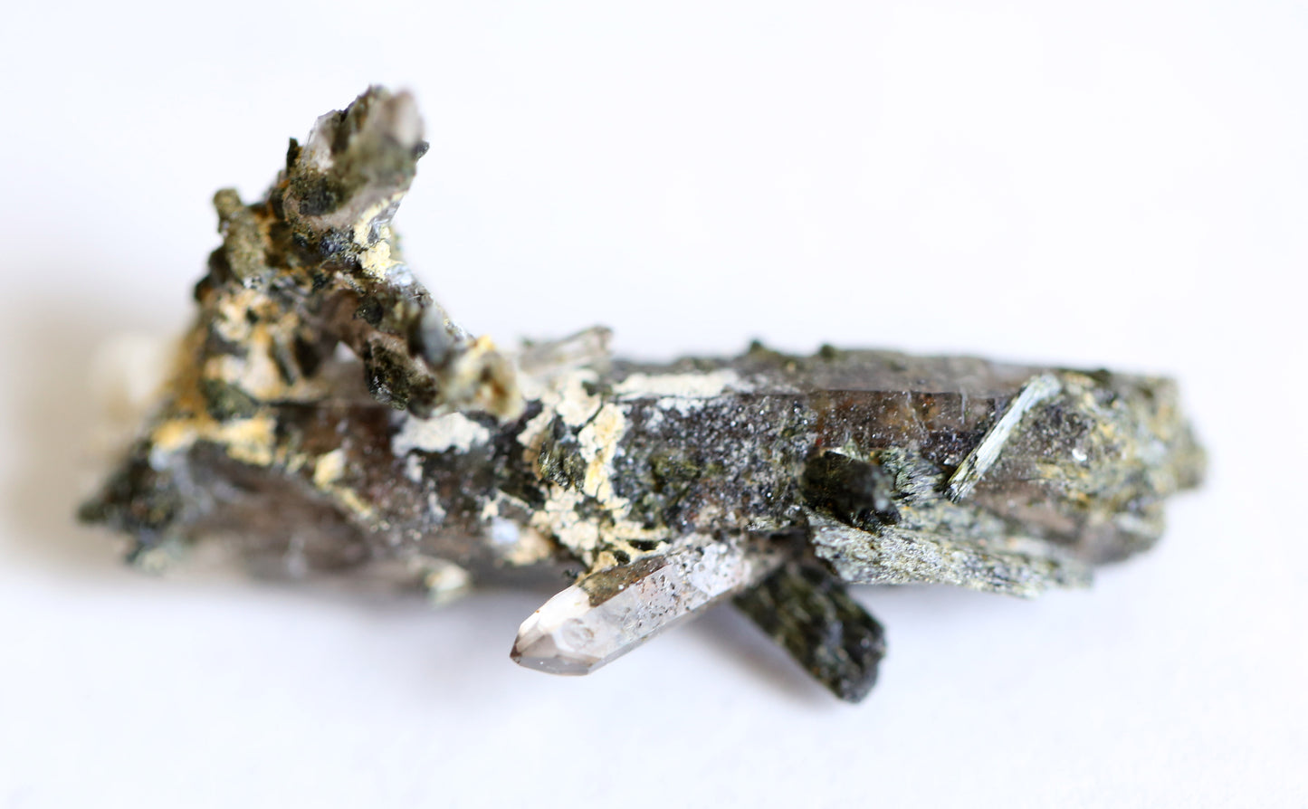 the little magic herbal shop - the little magic herbal shop