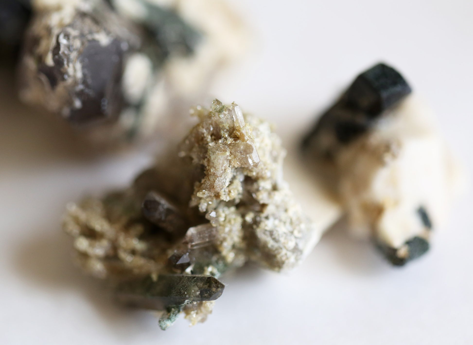 the little magic herbal shop - the little magic herbal shop