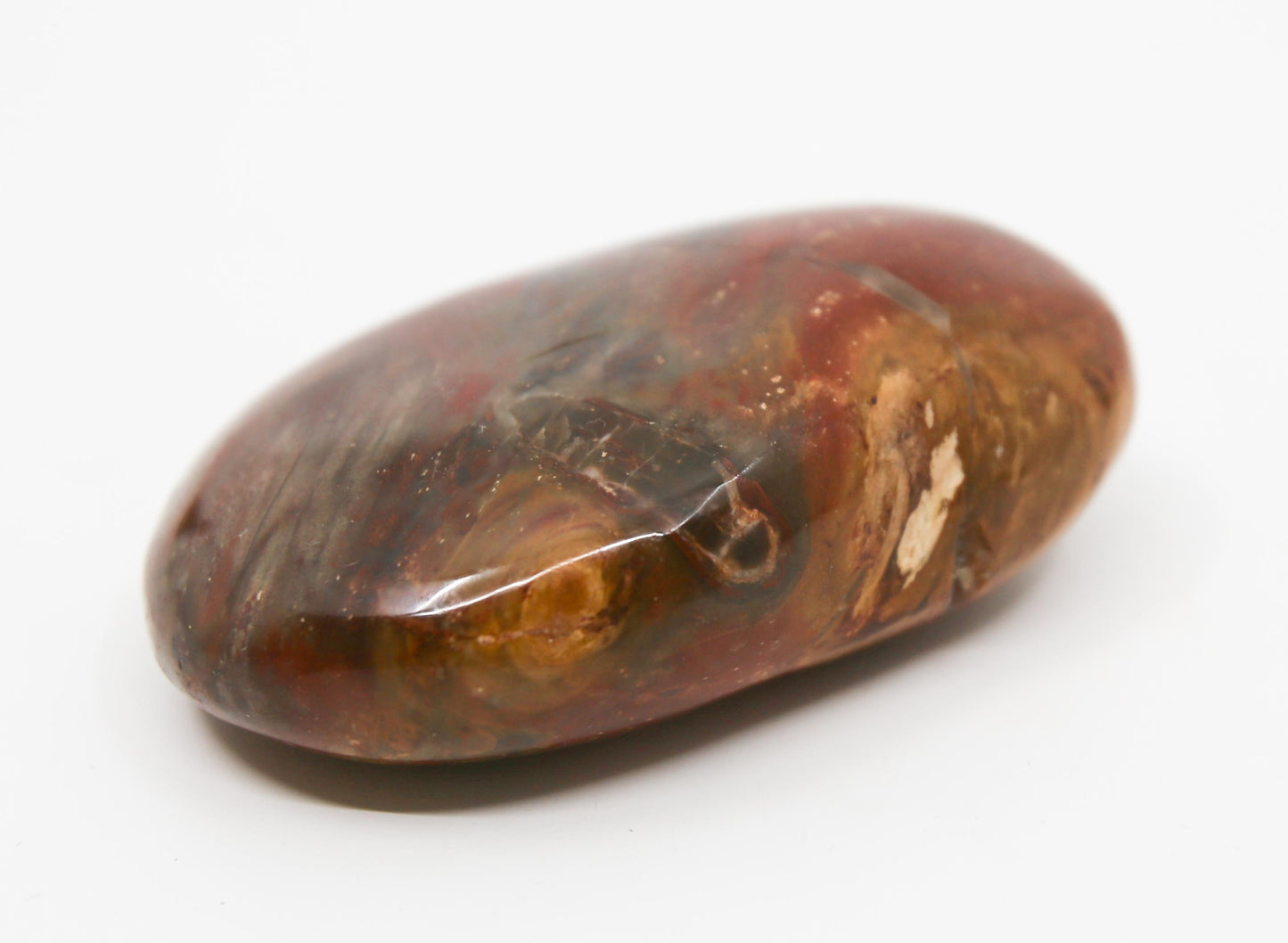 Petrified Wood Gallet