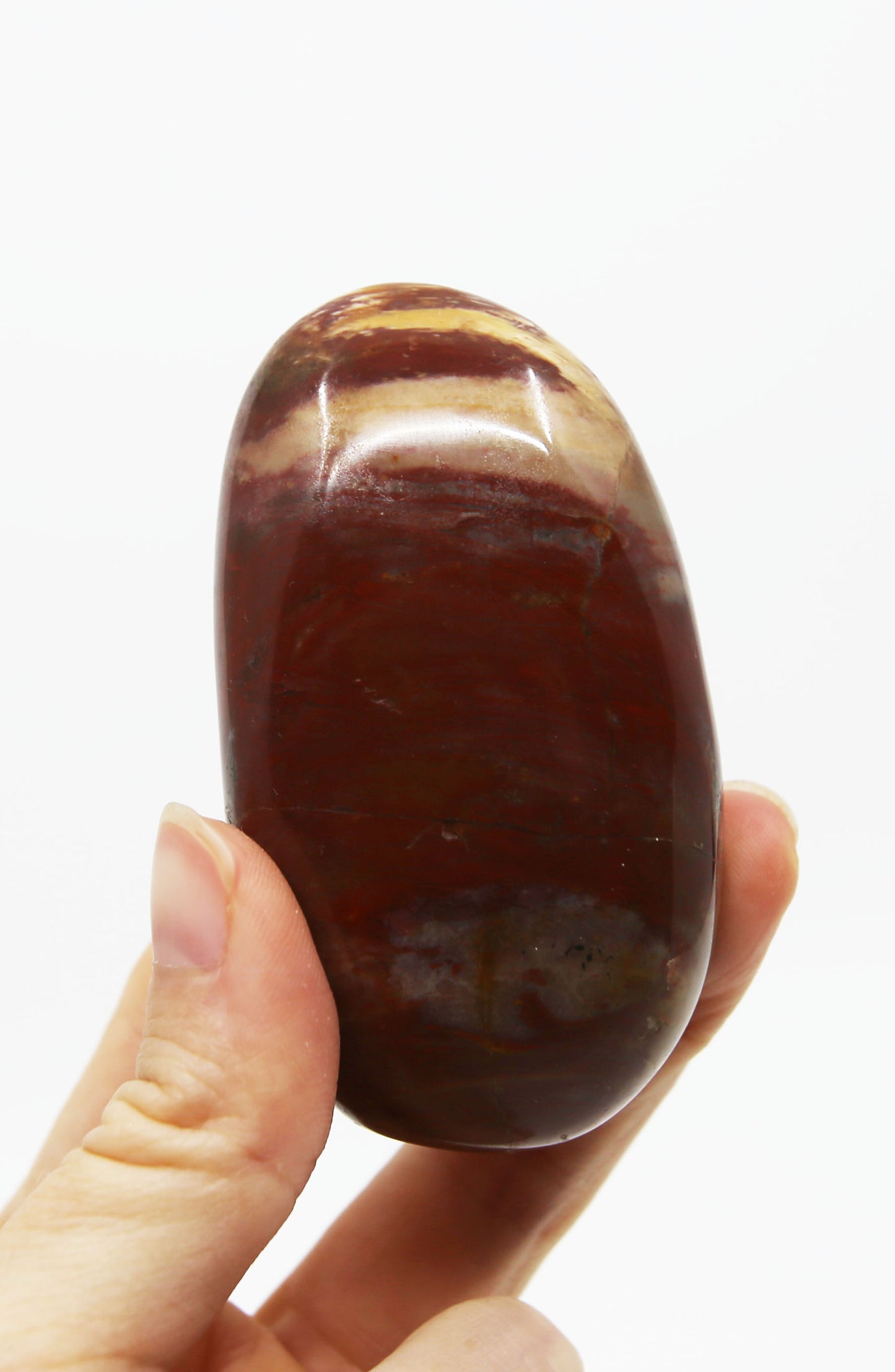 Petrified Wood Palm Stone