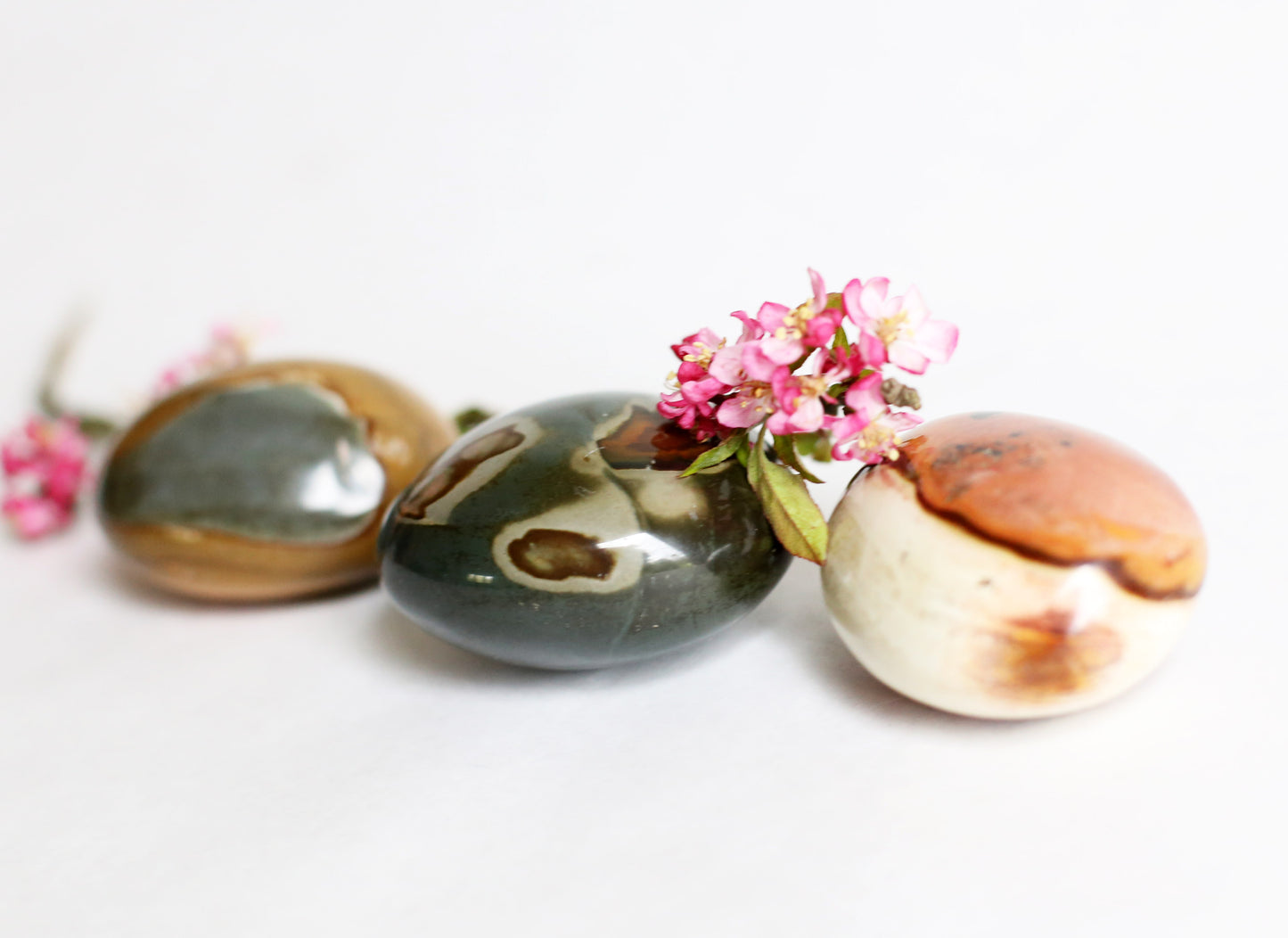 the little magic herbal shop - the little magic herbal shop