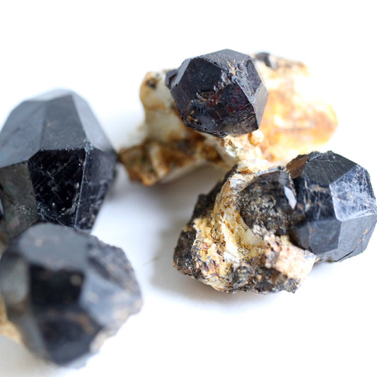 the little magic herbal shop - the little magic herbal shop