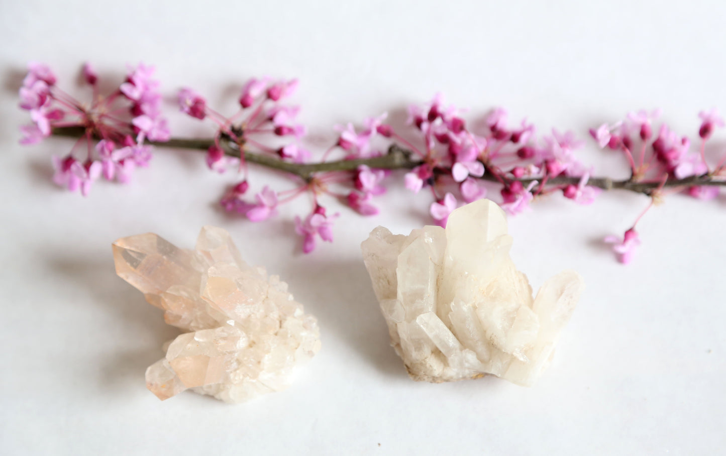 the little magic herbal shop - the little magic herbal shop