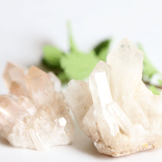 the little magic herbal shop - the little magic herbal shop