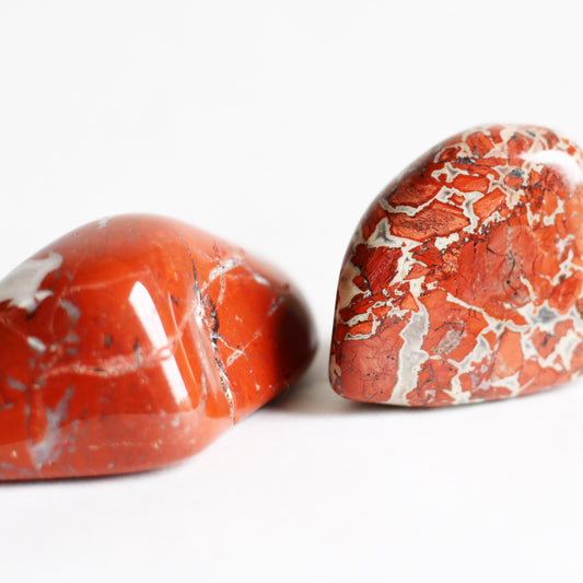 the little magic herbal shop - the little magic herbal shop