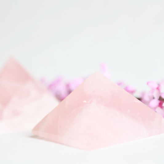 the little magic herbal shop - the little magic herbal shop