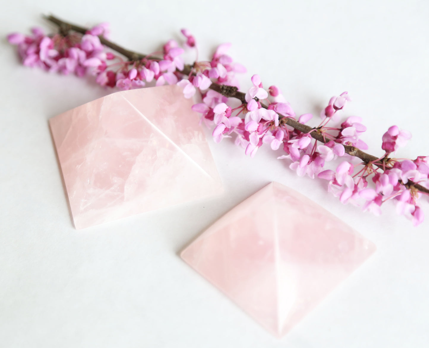 the little magic herbal shop - the little magic herbal shop
