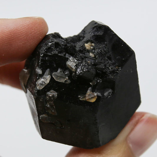 Natural Black Tourmaline Crystals, Large Palm Schorls