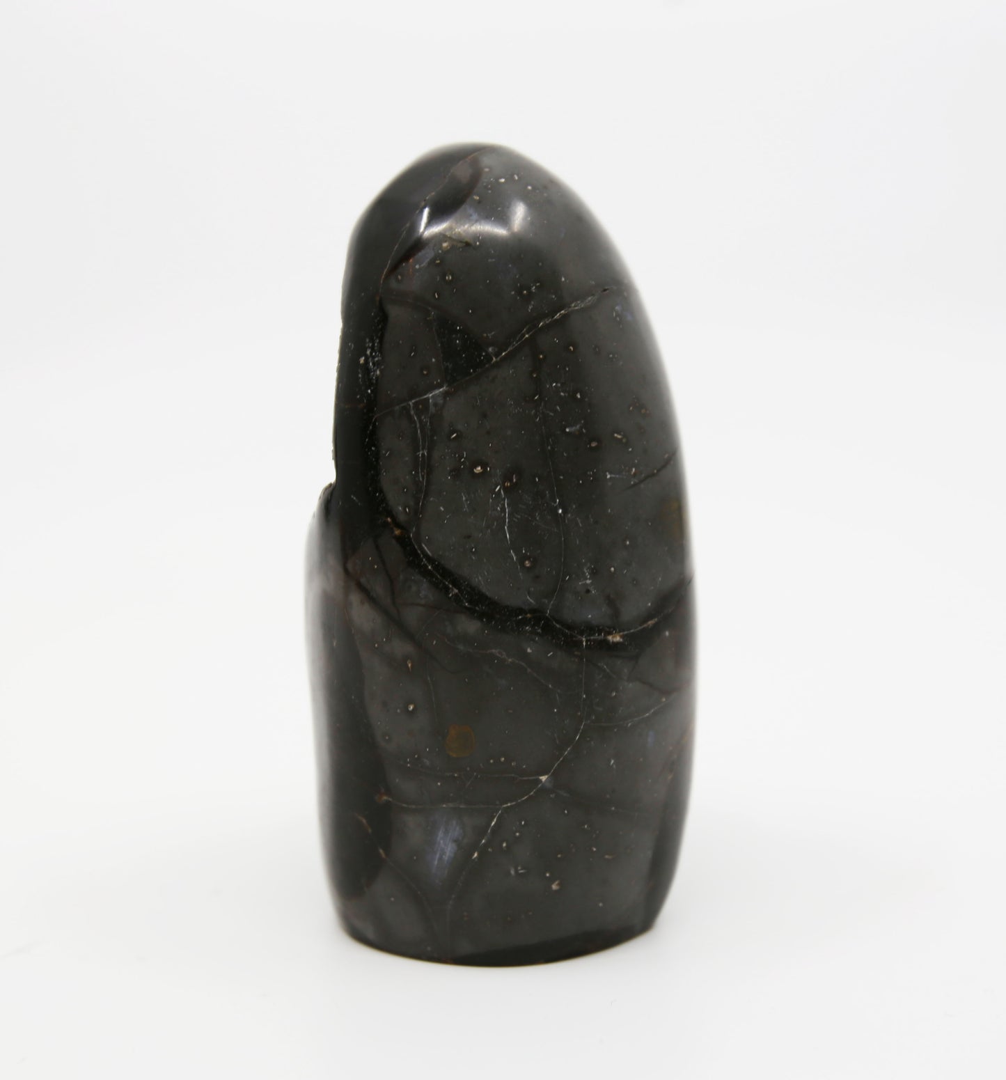 Druzy Septarian Free From