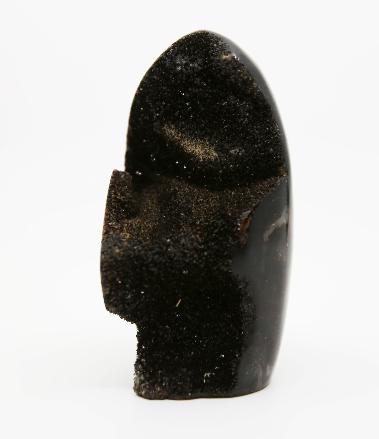 Druzy Septarian Free From
