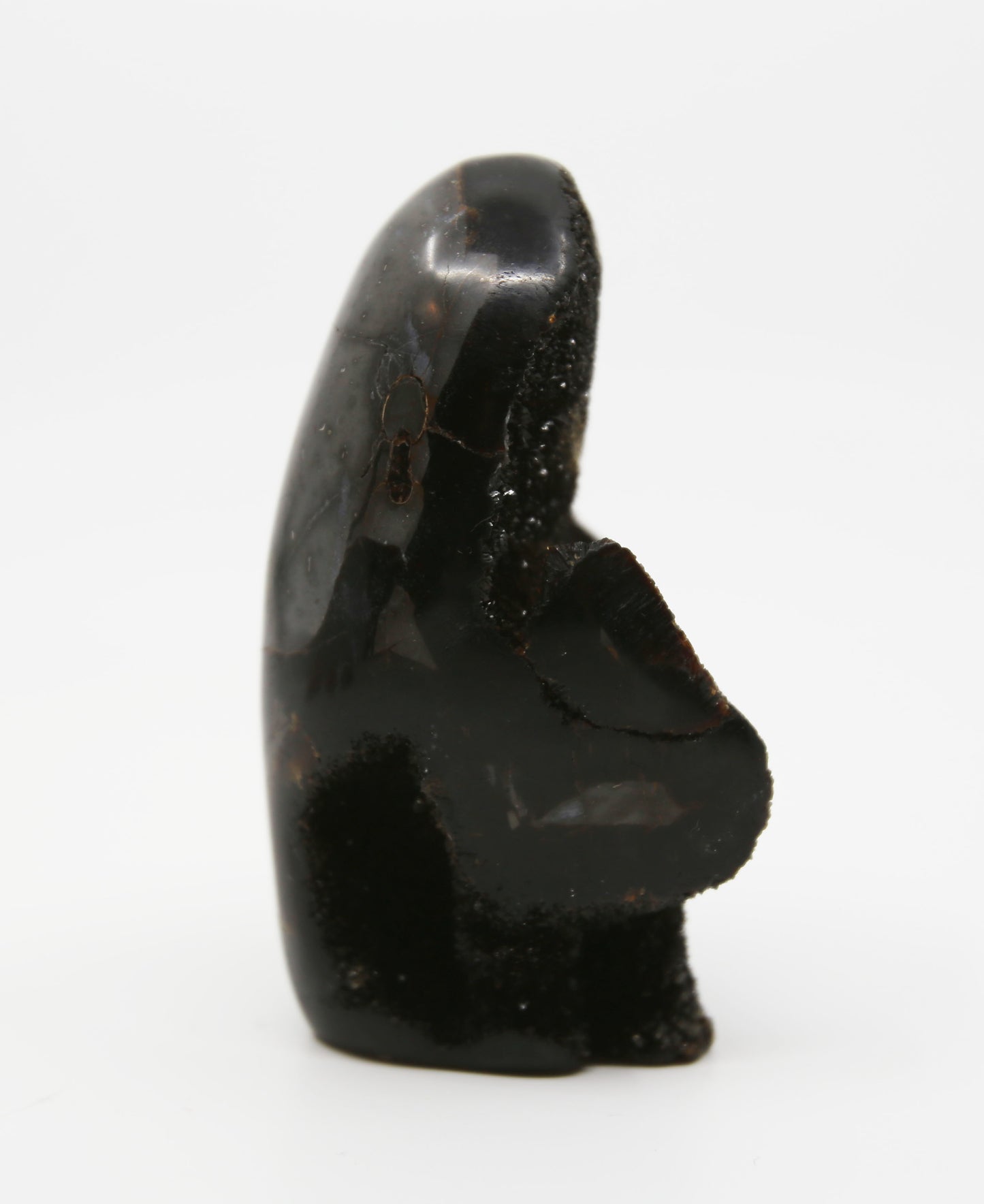Druzy Septarian Free From